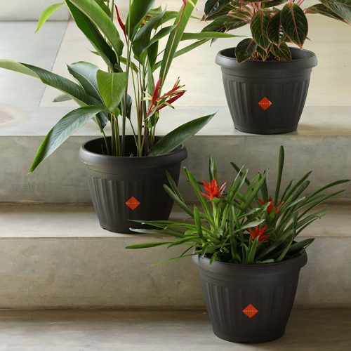 FLOWER POT PHOENIX - 8058