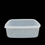 PLASTIC CLEAR BOX XT-005 Size:-22*16*7Cm Code:-14689