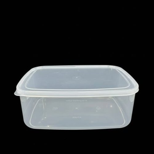PLASTIC CLEAR BOX XT-005 Size:-22*16*7Cm Code:-14689